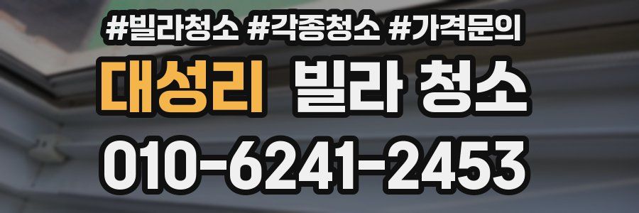 대성리 빌라 청소