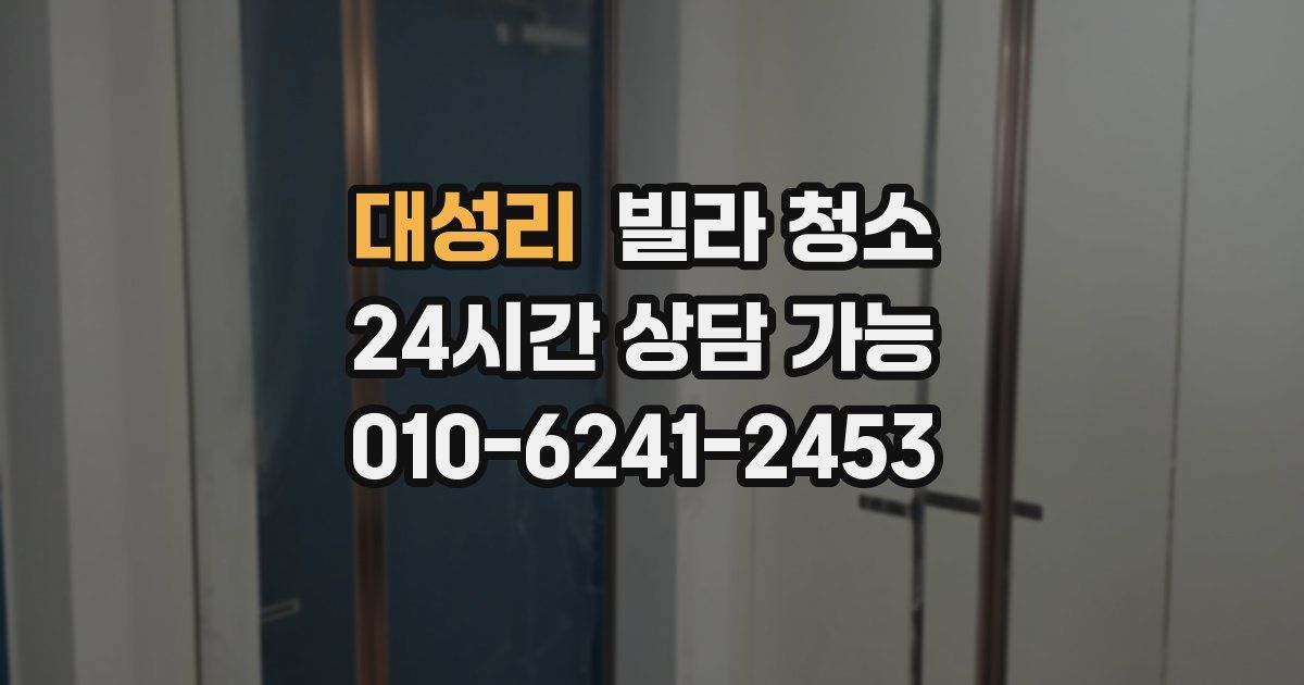 대성리 빌라 청소