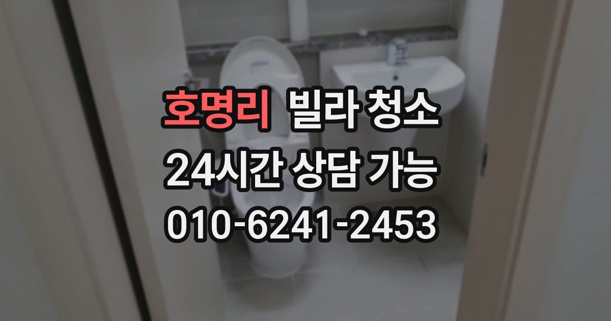 호명리 빌라 청소