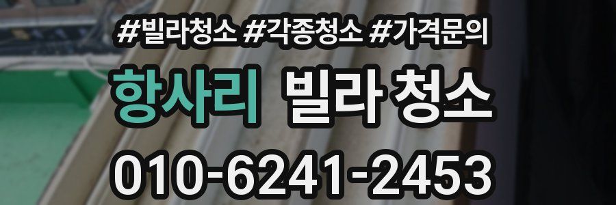 항사리 빌라 청소