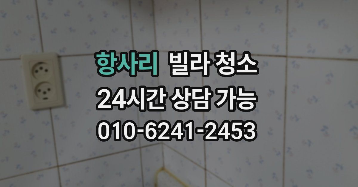 항사리 빌라 청소