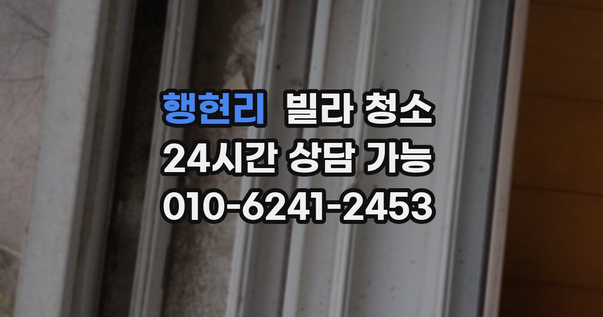 행현리 빌라 청소