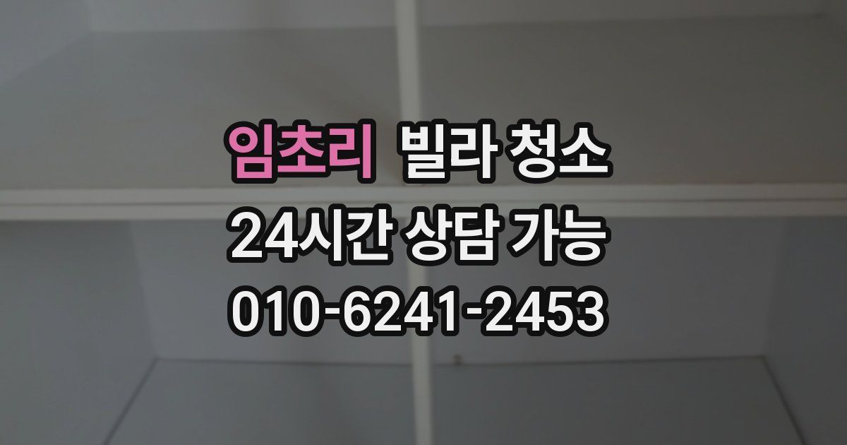 임초리 빌라 청소