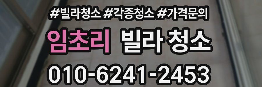 임초리 빌라 청소