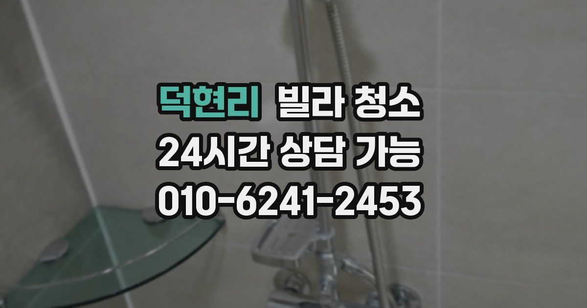 덕현리 빌라 청소