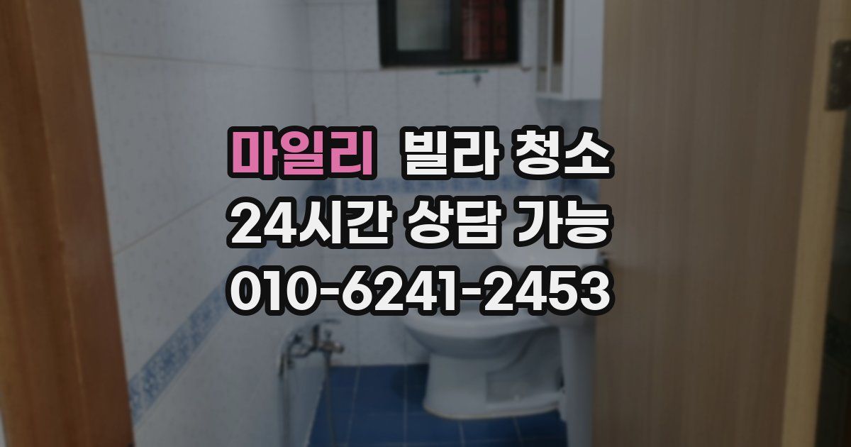 마일리 빌라 청소