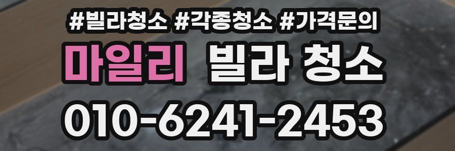 마일리 빌라 청소