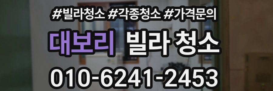 대보리 빌라 청소