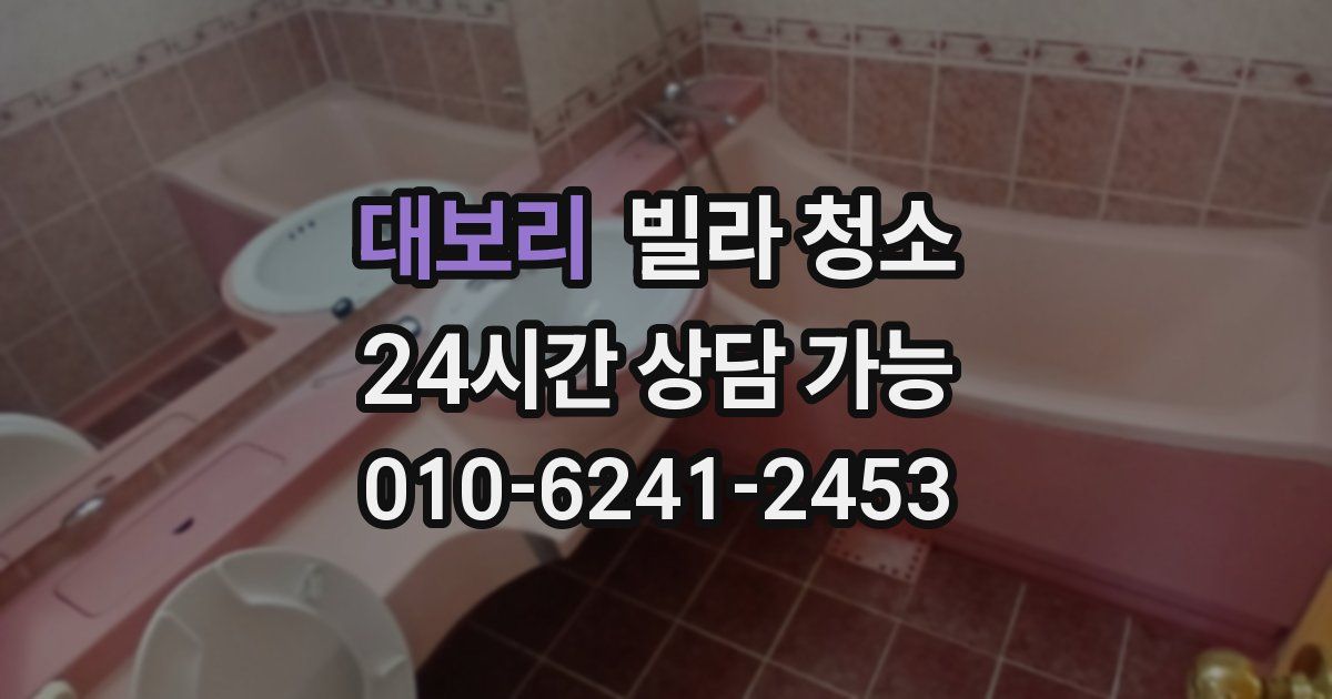 대보리 빌라 청소