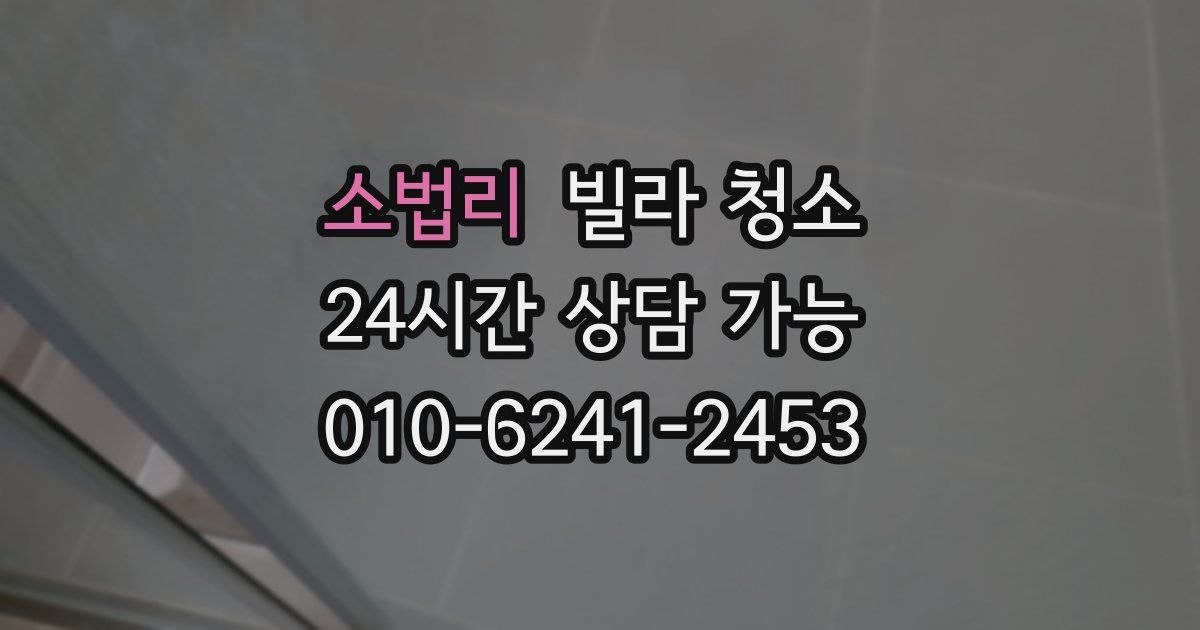 소법리 빌라 청소