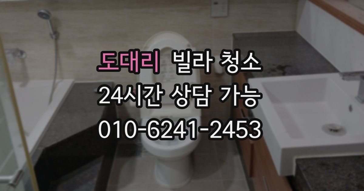 도대리 빌라 청소