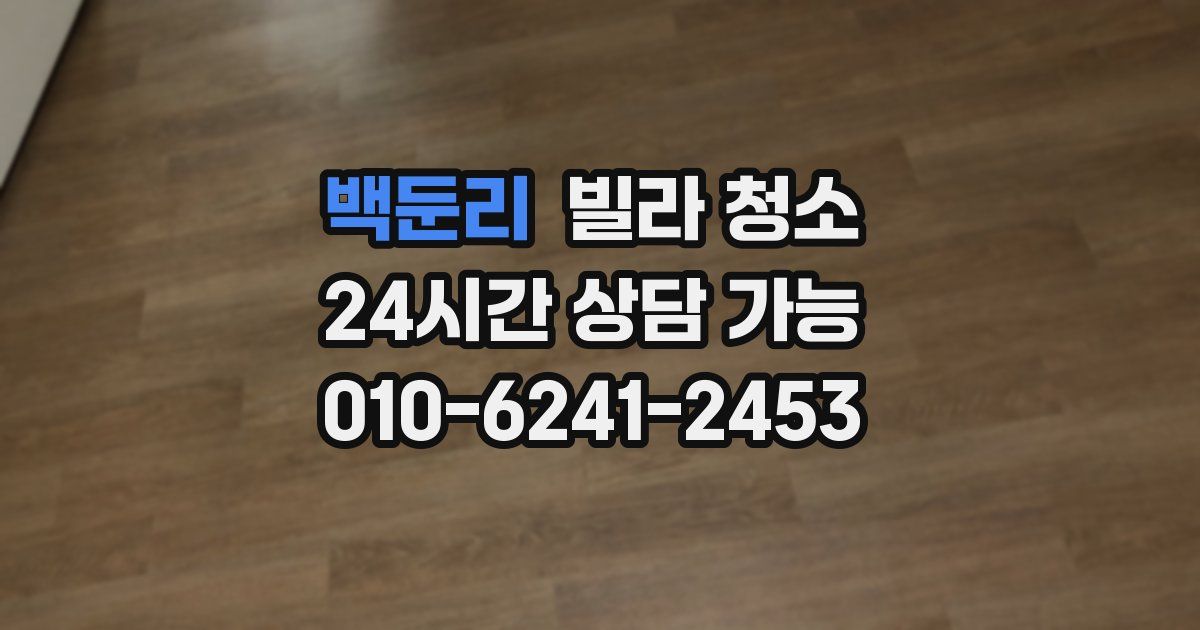 백둔리 빌라 청소