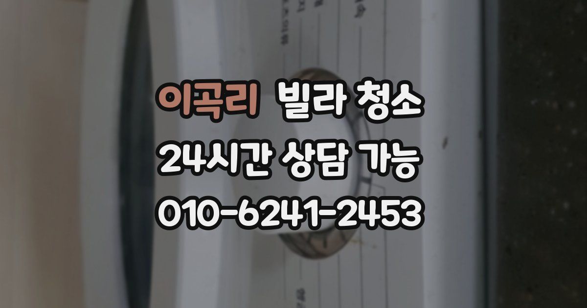 이곡리 빌라 청소