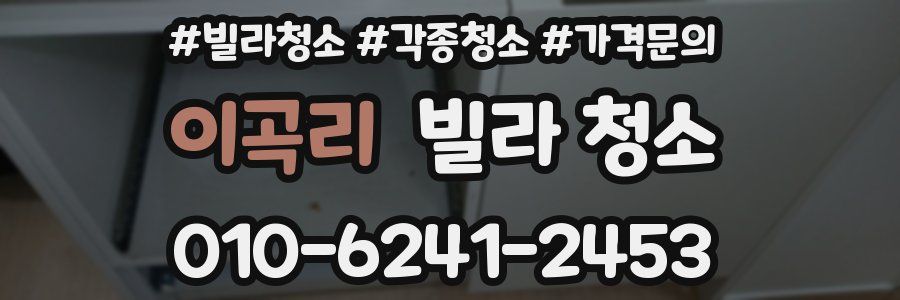 이곡리 빌라 청소