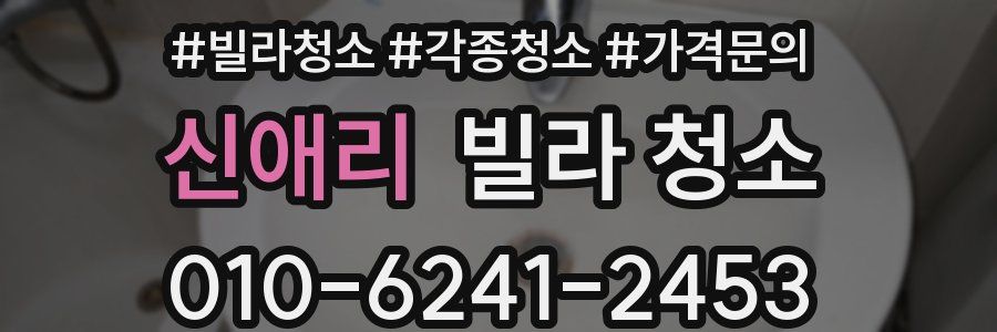 신애리 빌라 청소