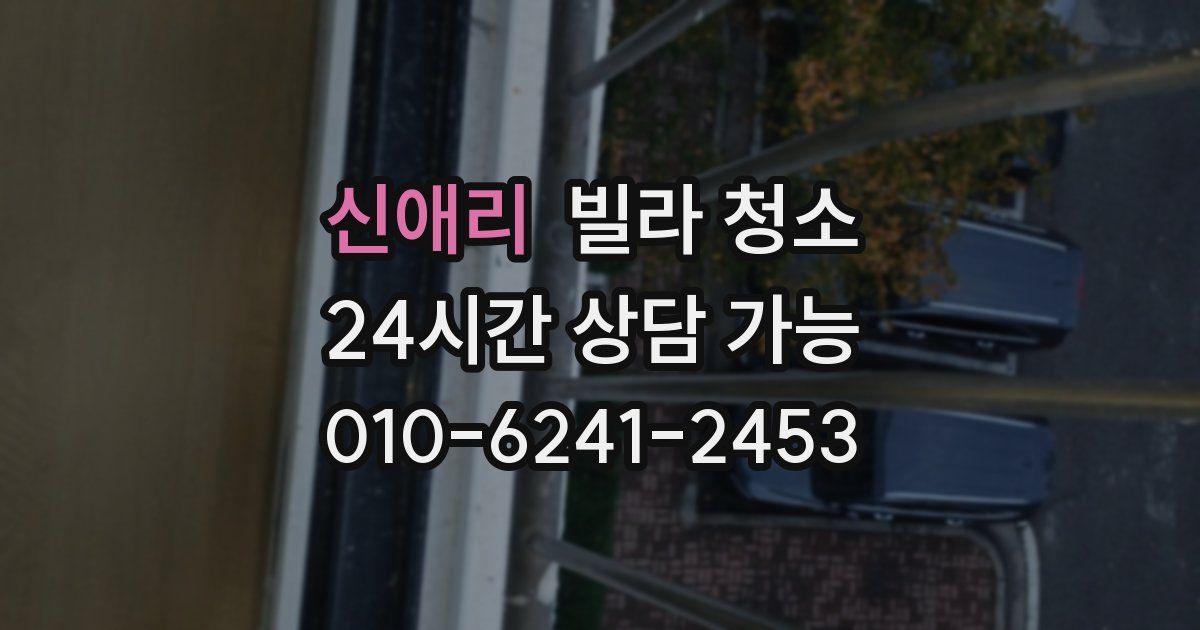 신애리 빌라 청소