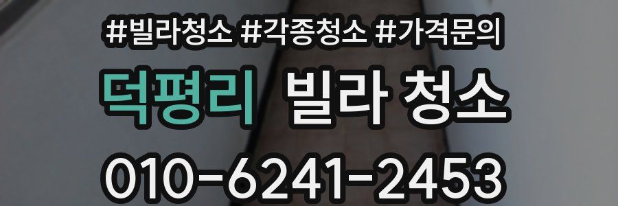 덕평리 빌라 청소