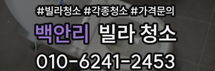 백안리 빌라 청소