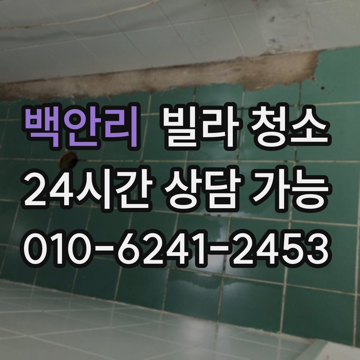 백안리 빌라 청소