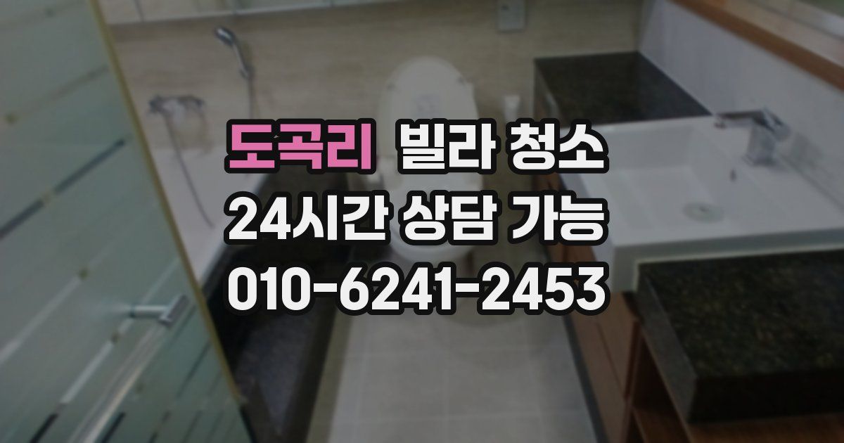 도곡리 빌라 청소