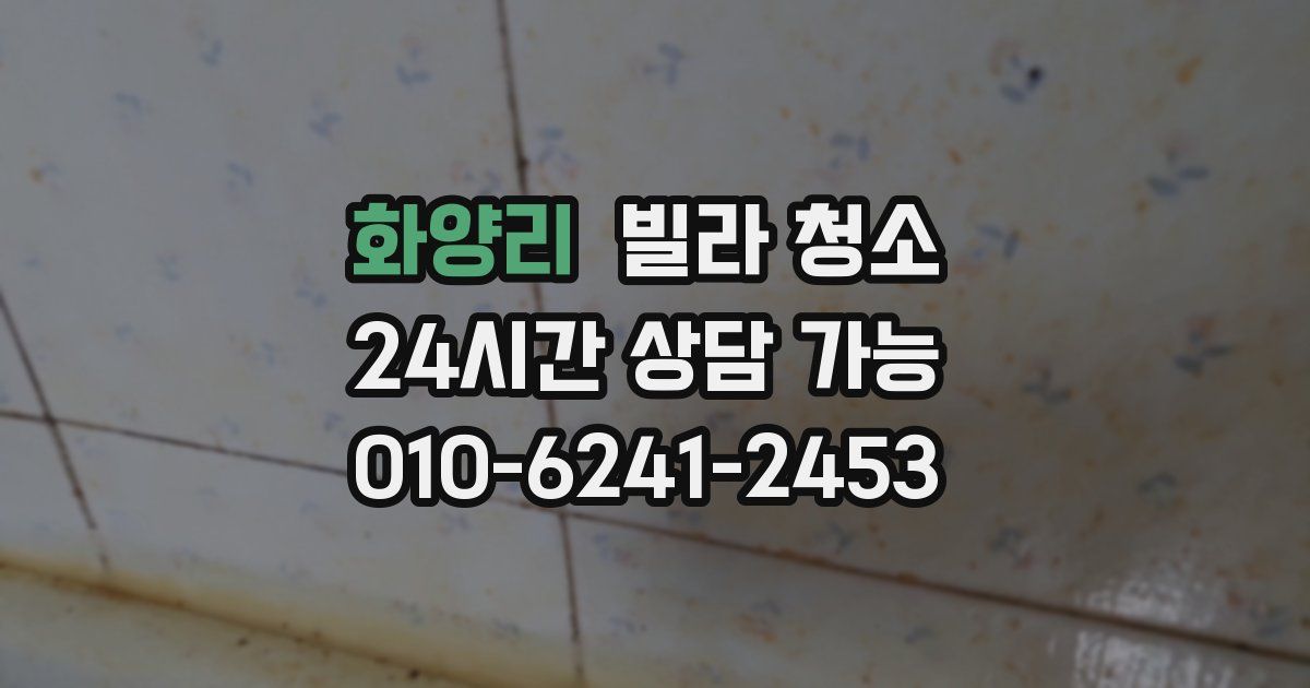 화양리 빌라 청소