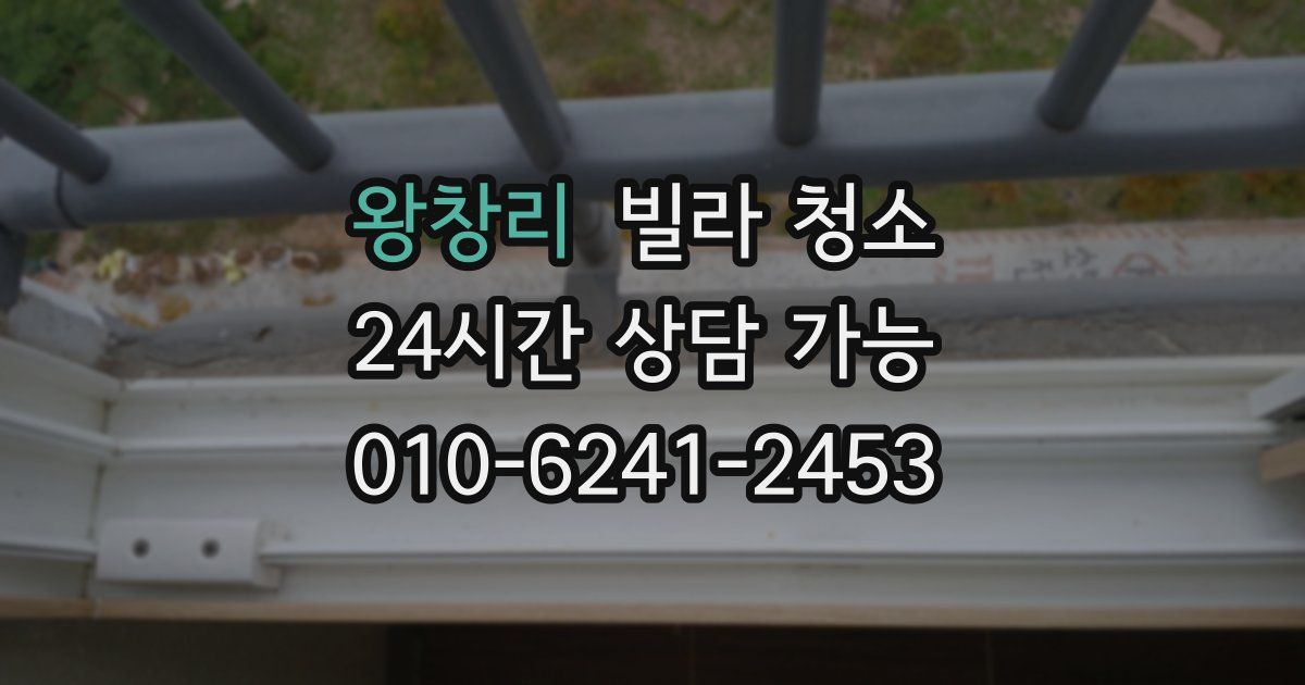 왕창리 빌라 청소