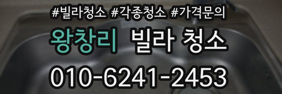 왕창리 빌라 청소