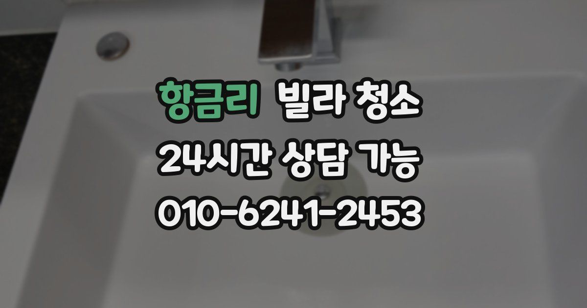 항금리 빌라 청소