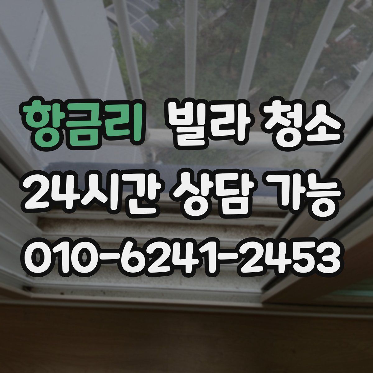 항금리 빌라 청소