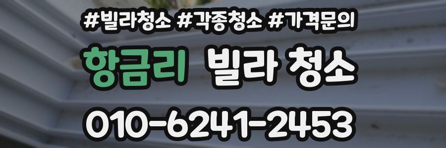 항금리 빌라 청소