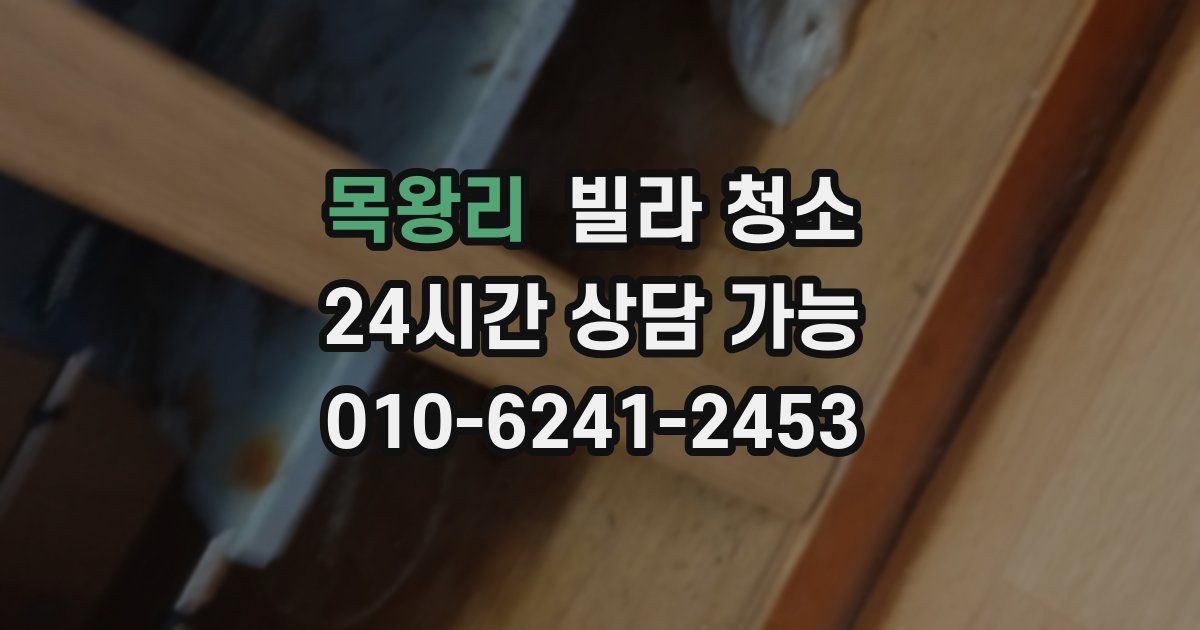 목왕리 빌라 청소