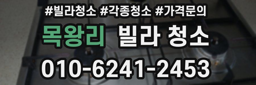 목왕리 빌라 청소