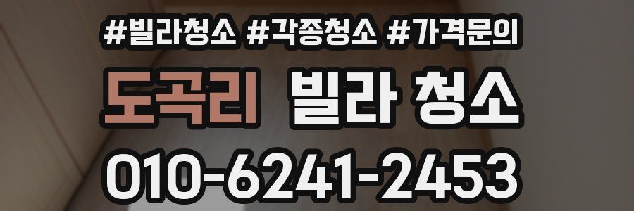 도곡리 빌라 청소