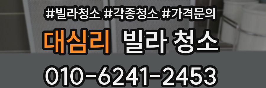 대심리 빌라 청소