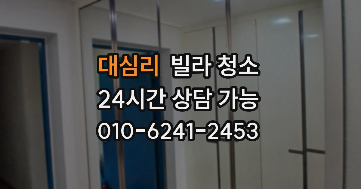 대심리 빌라 청소