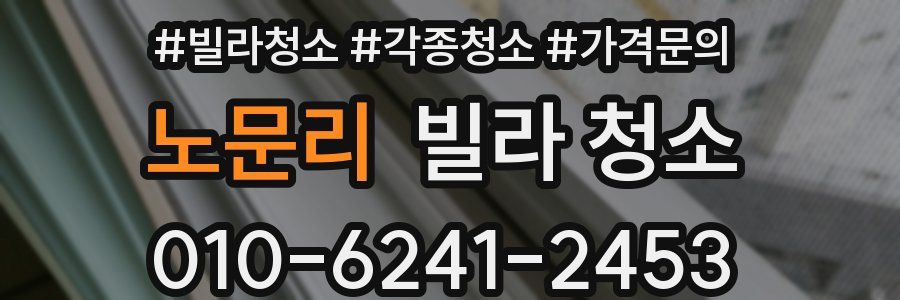 노문리 빌라 청소