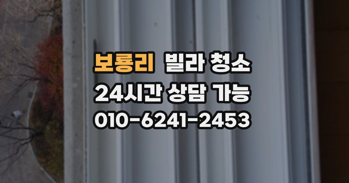 보룡리 빌라 청소