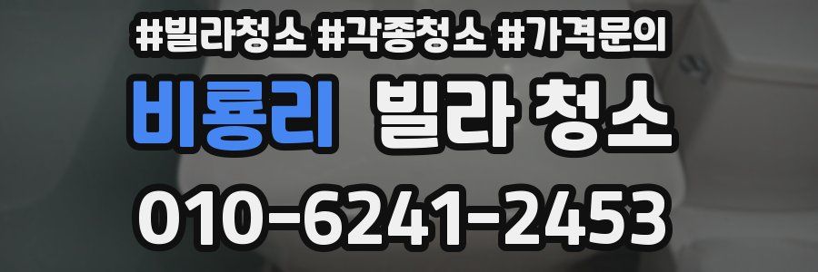 비룡리 빌라 청소