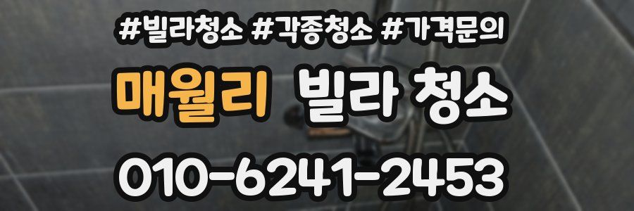 매월리 빌라 청소