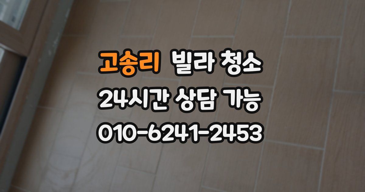 고송리 빌라 청소