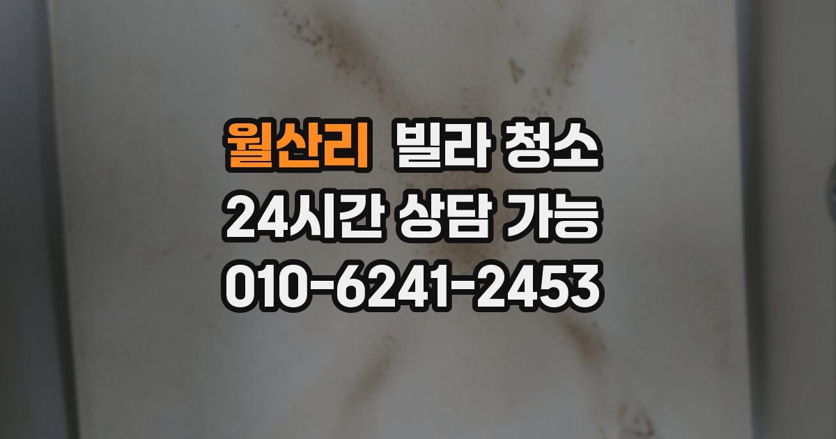 월산리 빌라 청소