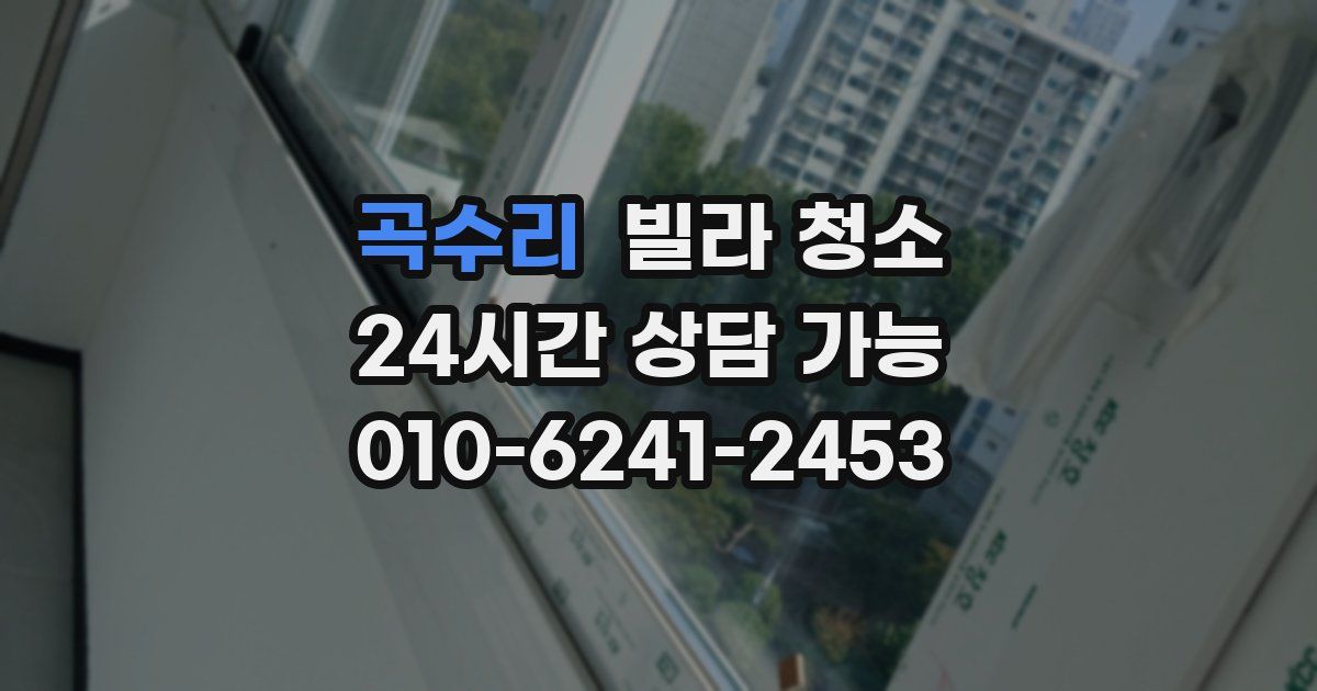 곡수리 빌라 청소