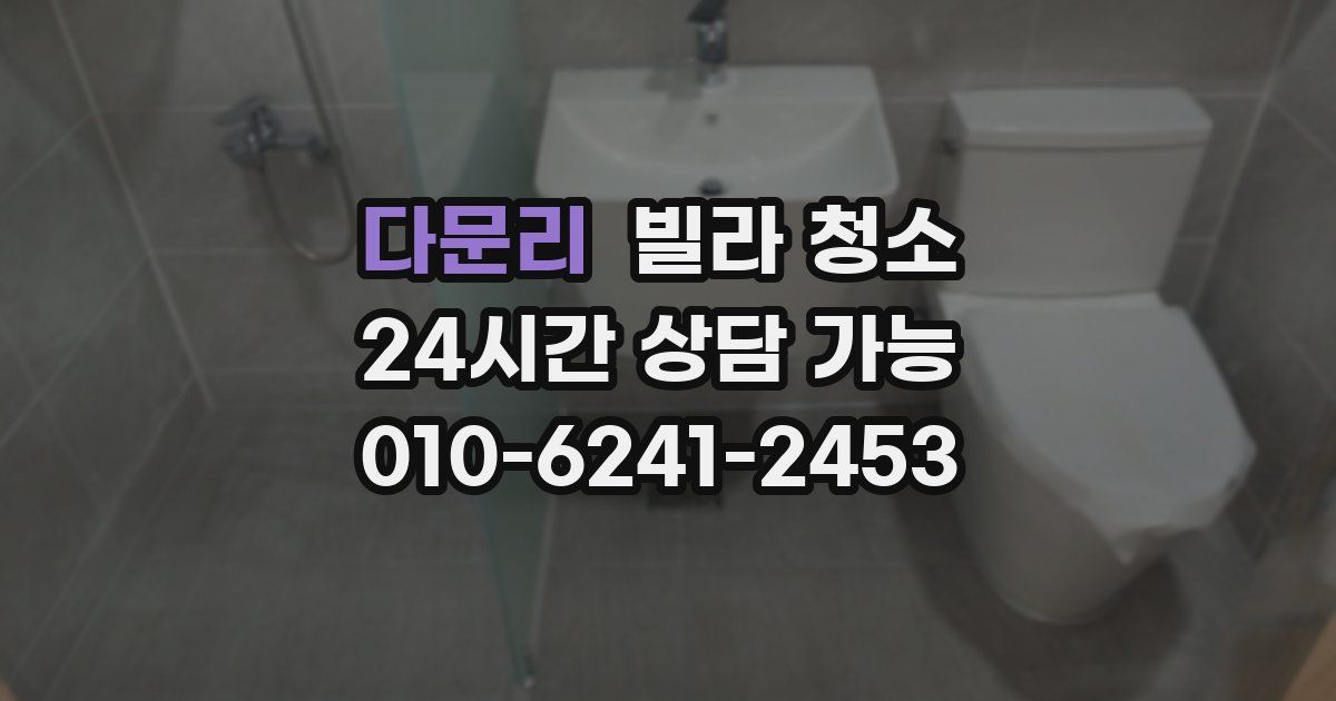 다문리 빌라 청소