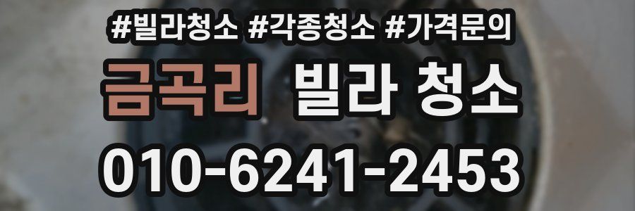 금곡리 빌라 청소