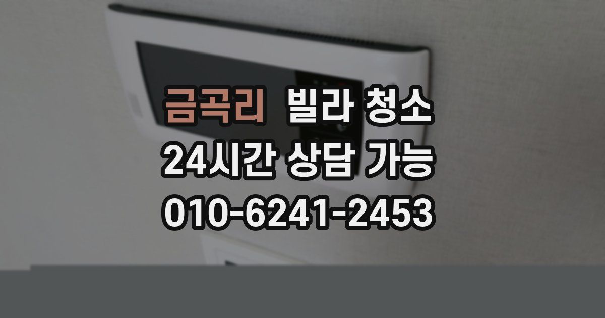 금곡리 빌라 청소