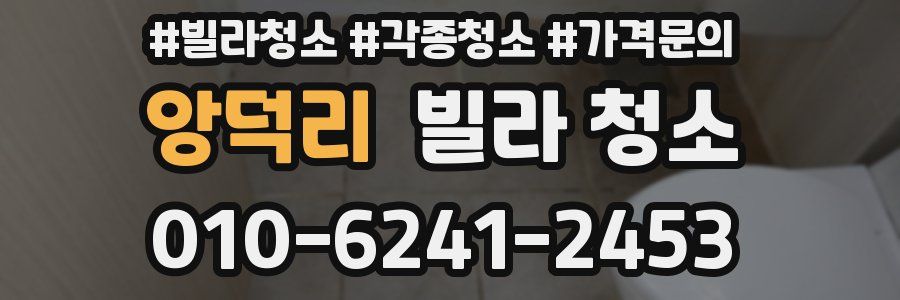 앙덕리 빌라 청소