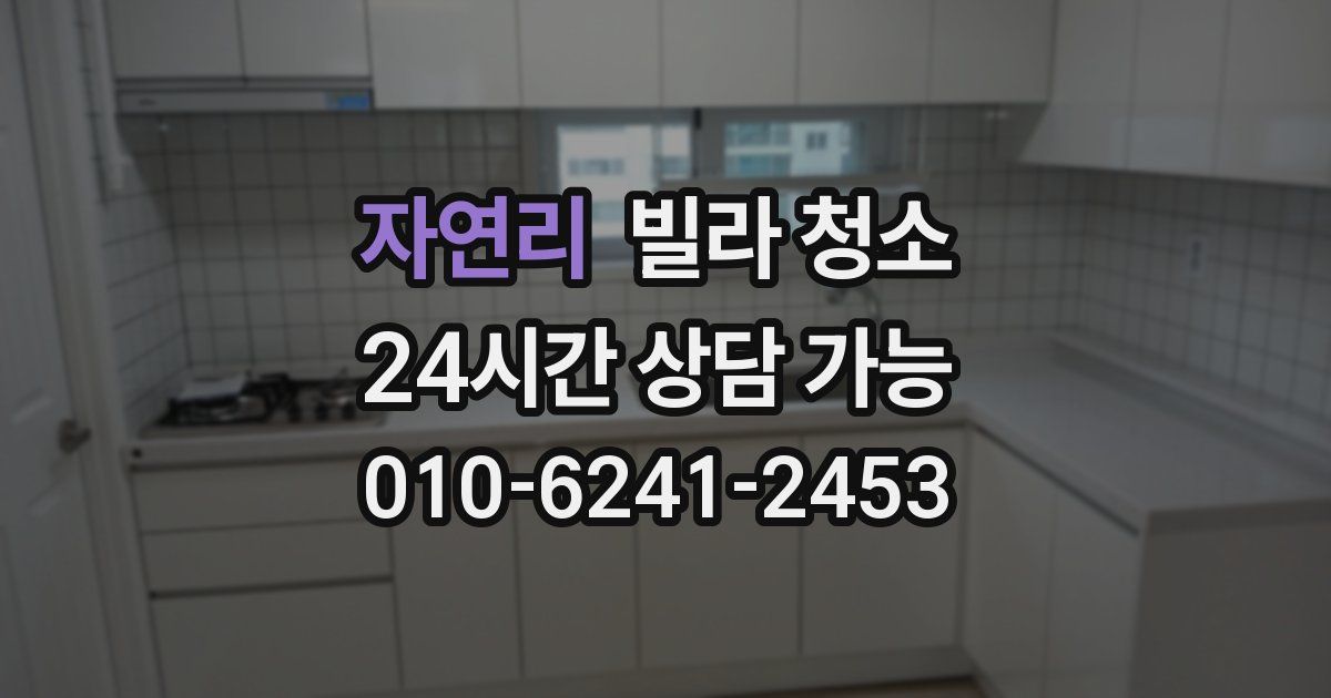 자연리 빌라 청소