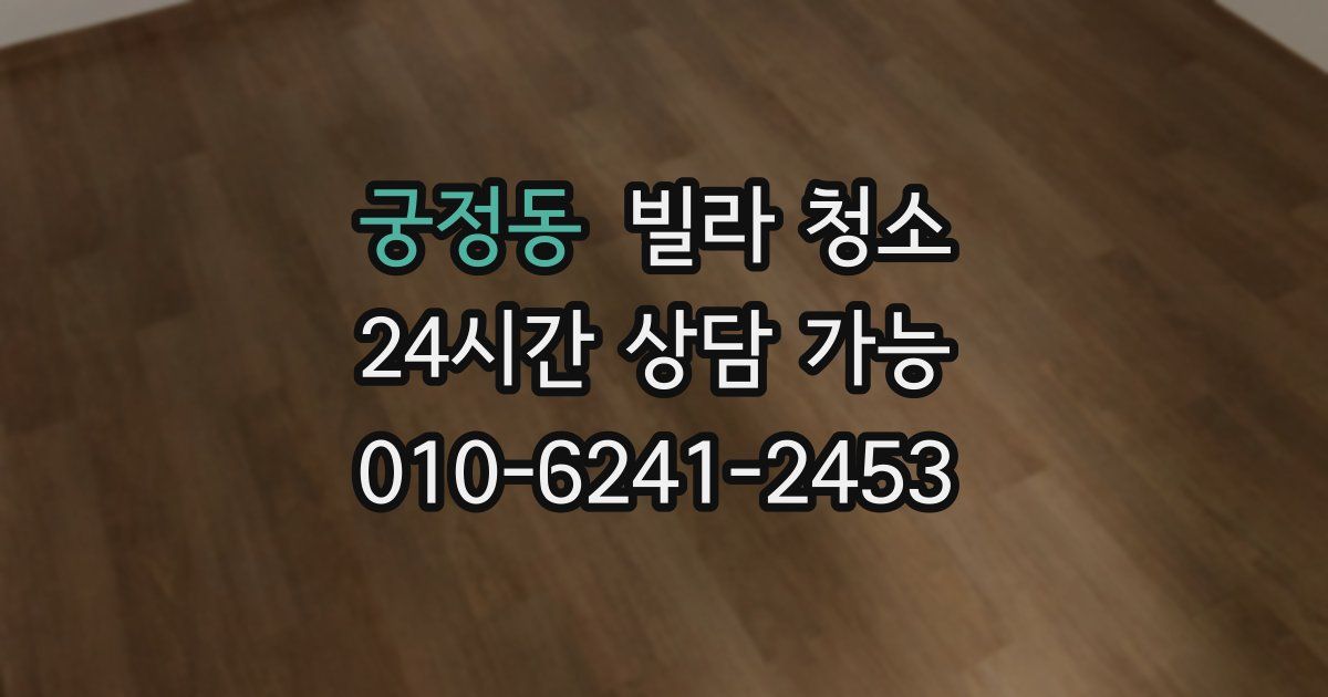 궁정동 빌라 청소