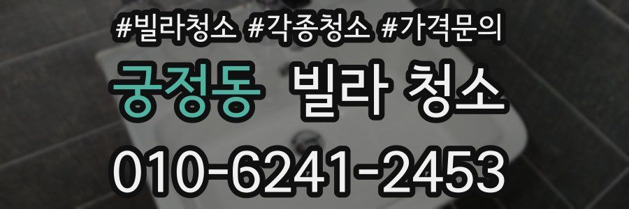 궁정동 빌라 청소