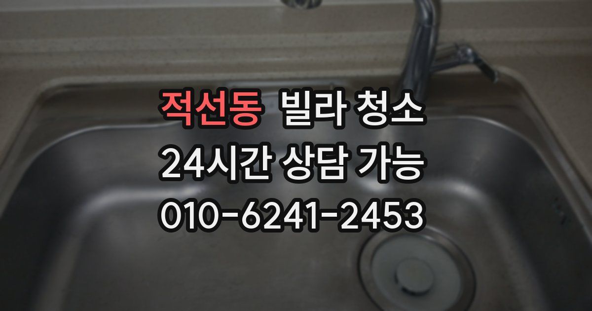 적선동 빌라 청소